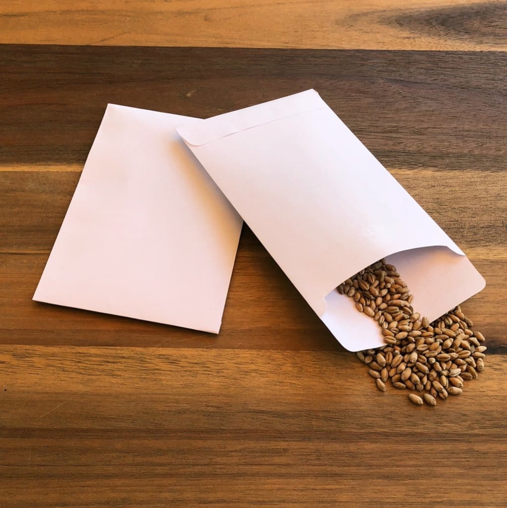Seed Envelopes Self Sealing Seed Packets Envelopes Seed - Temu
